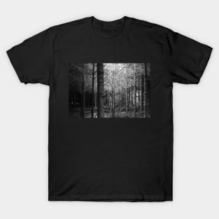 forest in black and white T-Shirt